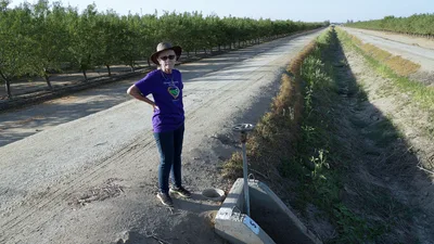 California Wells Run Dry as Drought Depletes Groundwater