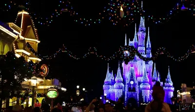 Disney World removes ‘ladies and gentlemen’ from Magic Kingdom greeting to be 'inclusive'