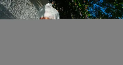 Russia Attacks Ukraine, Killing at Least 11 Civilians