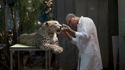 Israel Opening Nature Museum, with Evolution Exhibit