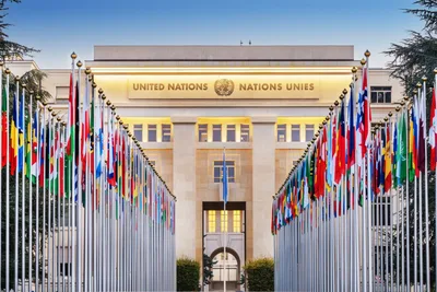 'The Church cannot afford to stay silent,' Pentecostal adviser urges engagement at UN and other global forums