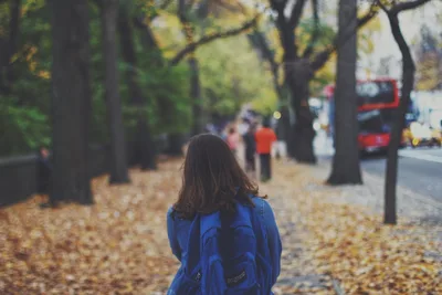 Alarm as UK Teenagers Rank Last for Life Satisfaction in Europe