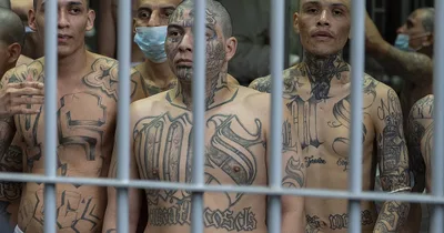 Feds Arrest MS-13 Gang Leader in New York on Murder Charges