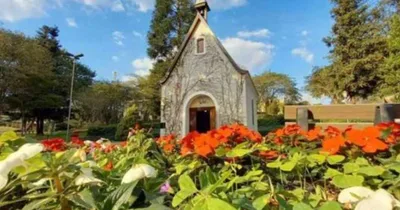 Schoenstatt asks for information on founder as allegations remain under study