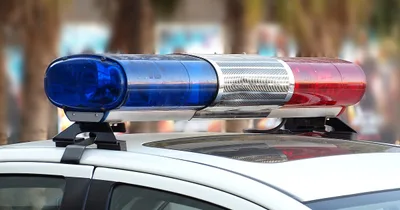 Over a dozen pro-life advocates arrested at Memphis Planned Parenthood