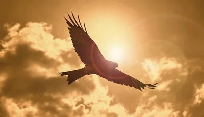 Failed self sufficiency gives way to soaring because of the Lord
