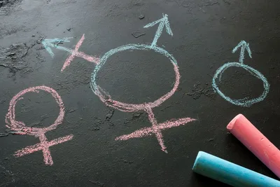 Virginia Gov. Youngkin Revokes Schools’ Transgender Policies, Asserts Parental Rights