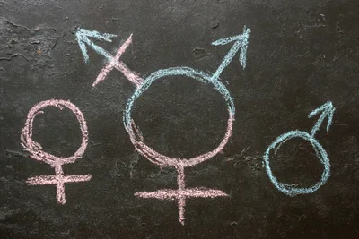 Government must 'stand firm' on school transgender guidance
