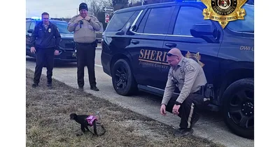 Missouri sheriff’s deputies catch escaped spider monkey