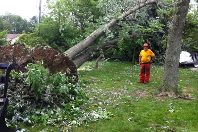 Record tornado outbreak draws So. Baptist response | Baptist Press