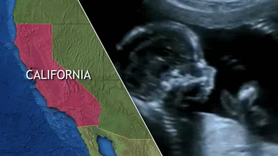 'Diabolical Bill': Pro-Lifers Rally at California Capitol as Pro-Abortion 'Infanticide' Bill Advances