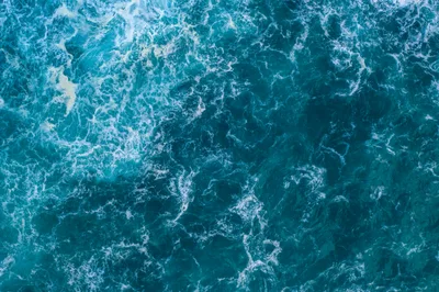How All Creation Speaks of God's Greatness