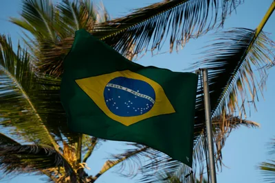 Brazil’s Environment Minister Fights Fellow Evangelicals on Amazon Protection