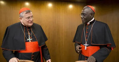 Cardinals Call on Pope Francis to Clarify Church Doctrines