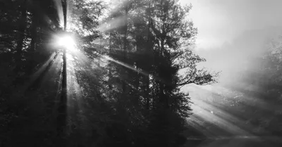 Our July/August Issue: No Shadow Unlit