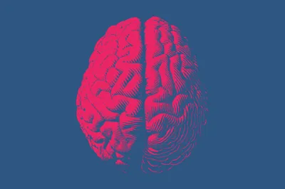 You've Heard About Mental Health — Let's Talk About Brain Health - RELEVANT
