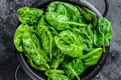 Scientists Have Taught Spinach How to Send Emails and It’s For a Good Cause Actually
