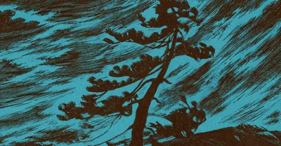 Human Frailty, Divine Resilience