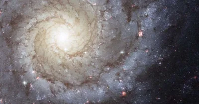 Pope Leo XIV speaks with astronomy students about ‘wonder’ of the universe