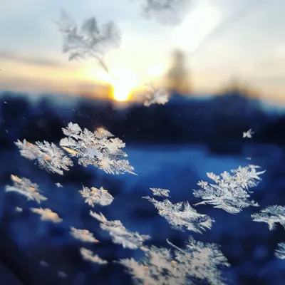 Feeling blue this holiday season? There's hope