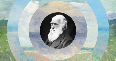 The Echoes of Genesis in Darwin