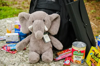 Florida Churches Turn Backpack Drives Into a Gateway to Immigration Advocacy