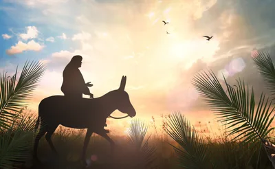 Why did Jesus ride on a donkey?