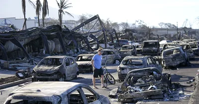 Energy Officials Testify about Maui Wildfire to Congress
