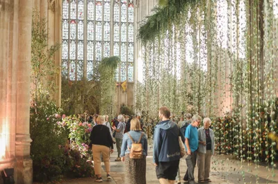 11,000 turn up for Wild! at Winchester Cathedral