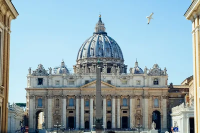 Vatican defrocks Priests for Life director Frank Pavone for 'blasphemous communications'