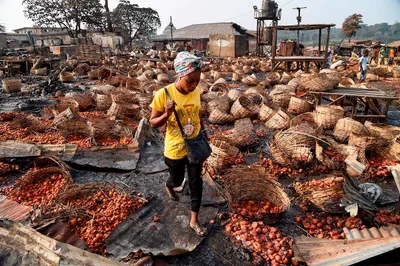 Over 10 Christians Slain in Fulani Attacks, Ongoing Massacres Terrorize Farmers