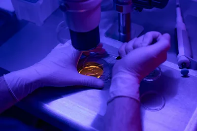 A Christian Perspective on the IVF Controversy - RELEVANT