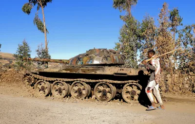Human rights groups raise alarm over new atrocities in Western Tigray