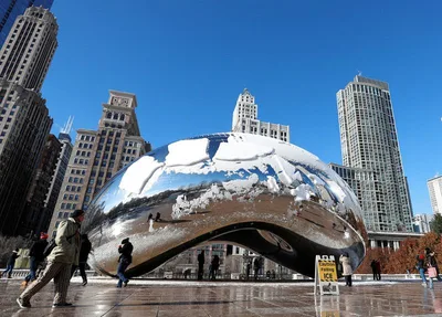 Chicago and the Rotten Harvest of Progressive Policies