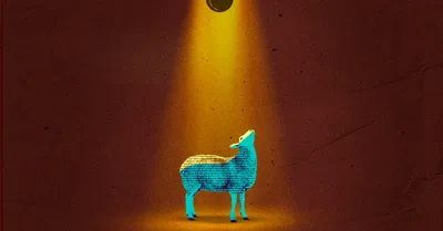 God Sees Everything. Flock Should Not.