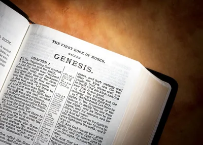 3 Things You Should Know about Genesis