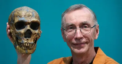 Neanderthal DNA Project Wins Nobel Prize