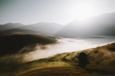 Dwelling on the Beauty of the Lord