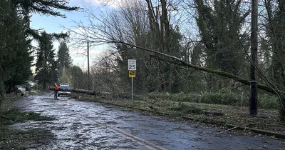 Over 500,000 without Power after Bomb Cyclone Hits West Coast