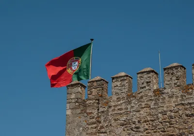 Portugal probe: 290 church sex abuse claims in 90 days work