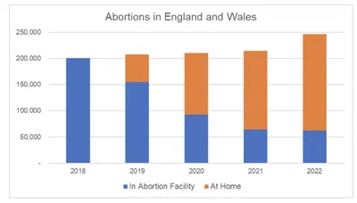 At-Home Abortions are Putting Women's Health at Risk