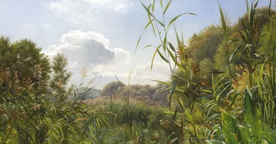 Yesterday’s Environmentalists Were Christians. Tomorrow’s Will Be, Too.