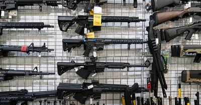 Gunmakers take in $1 billion on AR-15–style guns