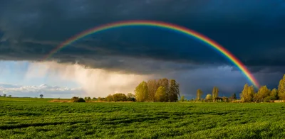BIBLE STUDY: God's covenant with humanity | Baptist Press