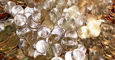 DOGE Counts the Cost of Making Pennies