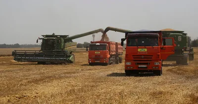 Leaders declare food crisis, grain sits idly in Ukraine