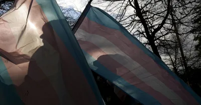 Professor Yanked from Florida Workgroup over Gender Ideology