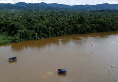 Brazil Church leaders call for international pressure on Bolsonaro to save Amazon | Crux