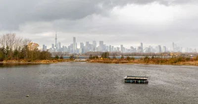 10 years, 100,000 deaths: How Canada became the euthanasia capital of the world