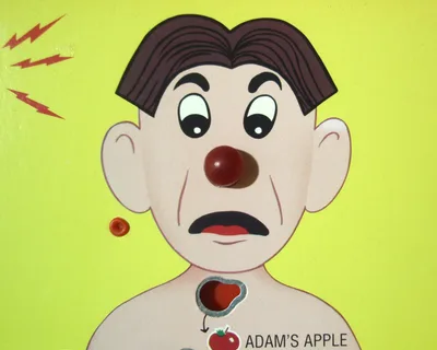 The Bible According to Cavity Sam